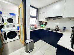 Blossom Residences (D23), Condominium #464999221